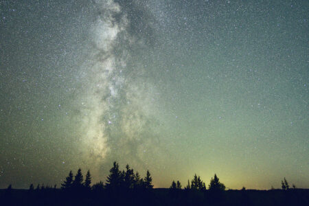 Night sky. The Milky Way stretches above a line of trees silhouetted against the glow of the horizon.