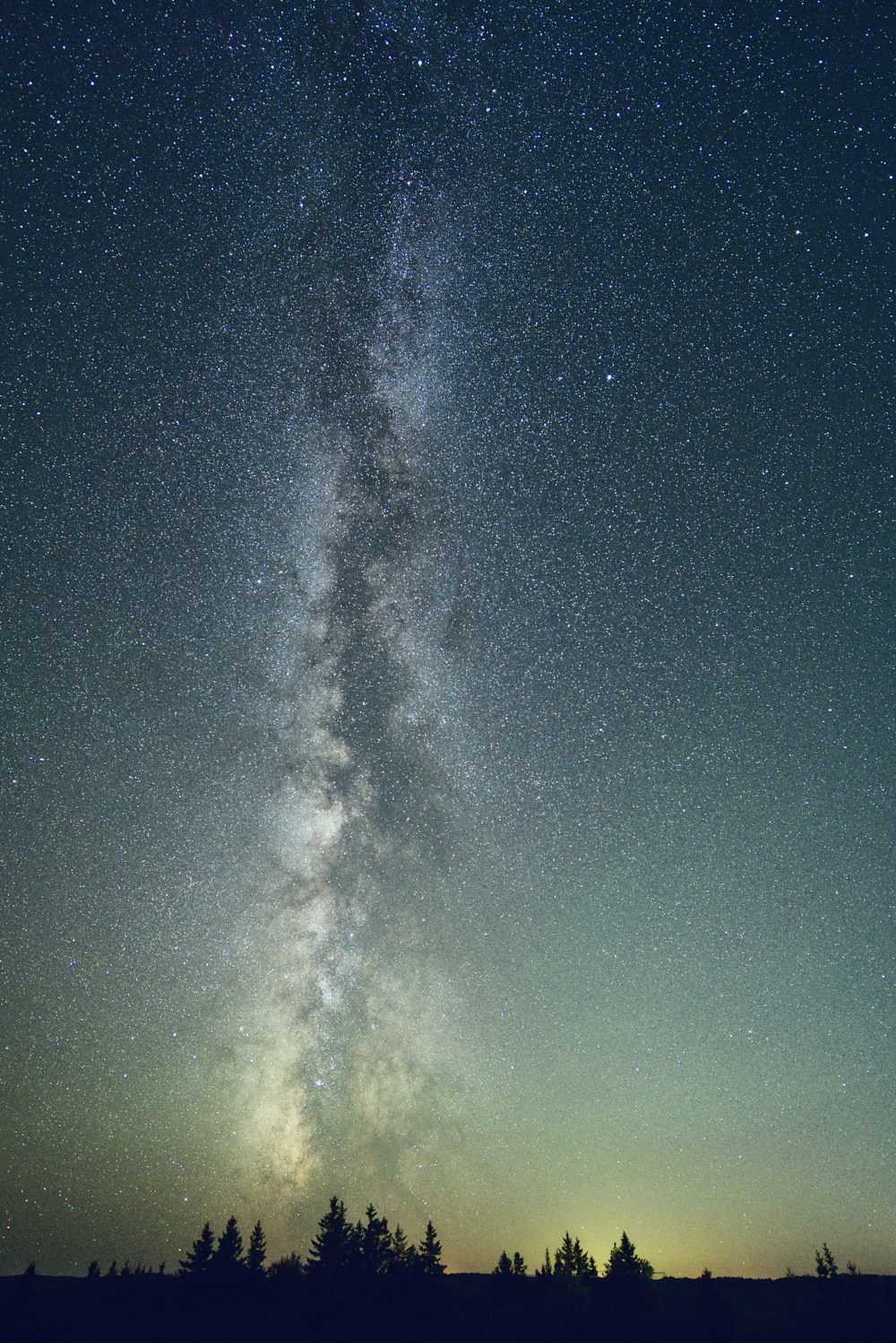 Night sky photo of the Milky Way. The starry sky fills most of the frame. Along the bottom edge, a line of trees is silhouetted against a distant horizon.
